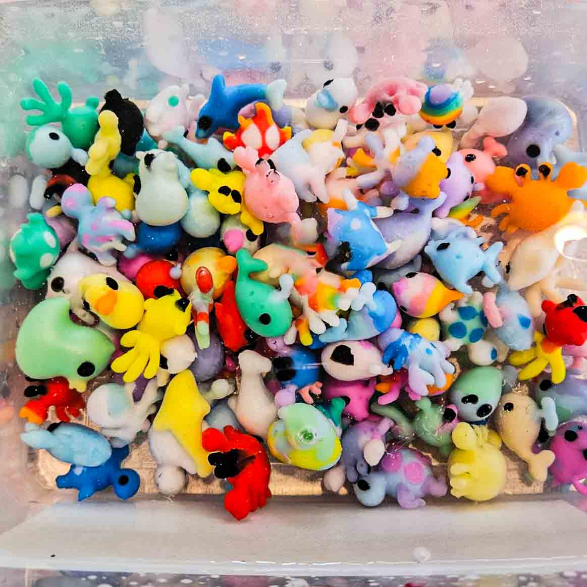 AquaZoo Creation Set